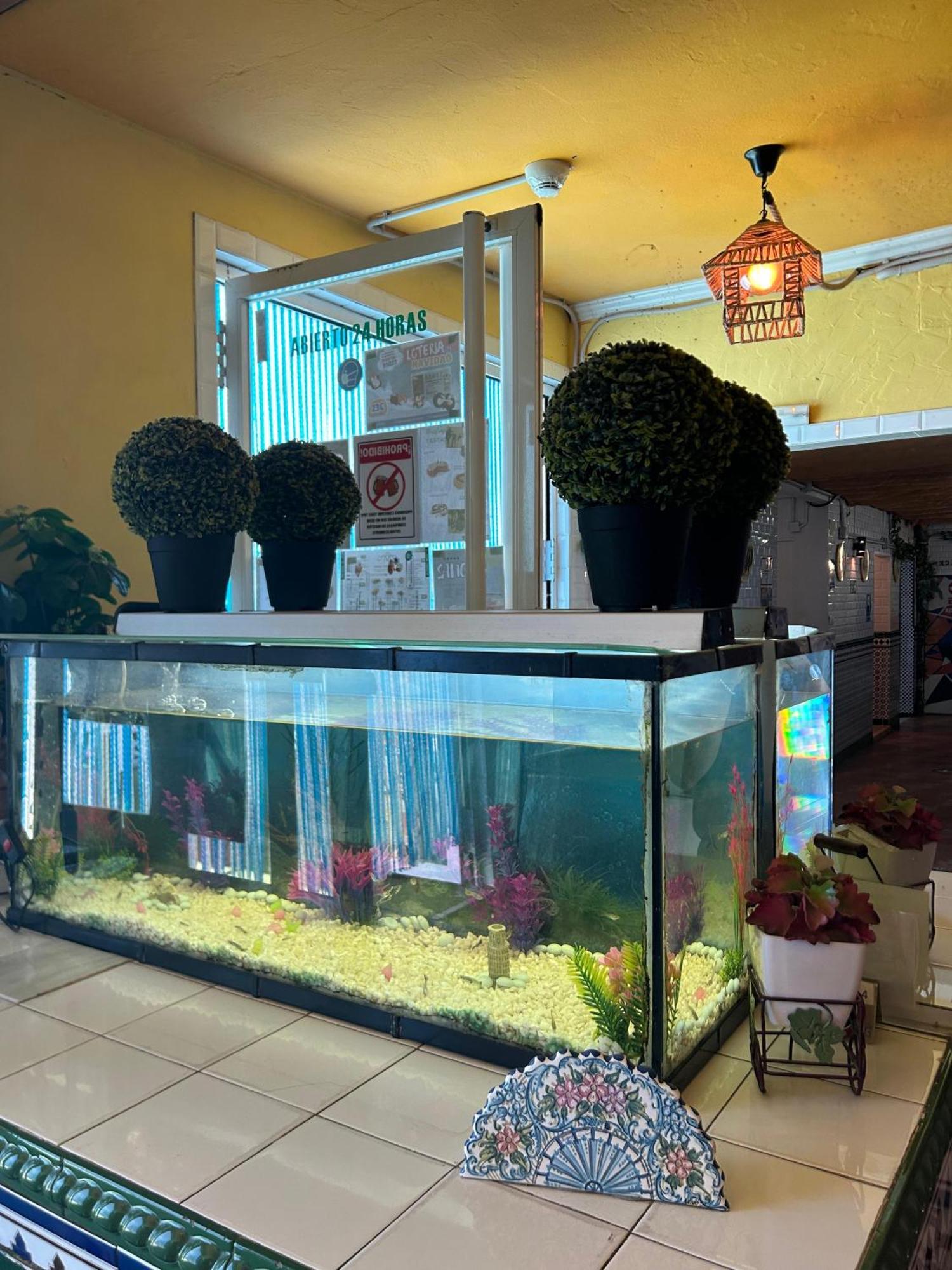 Hostal Avenida Andalucia - Solo Adultos Seville Exterior photo